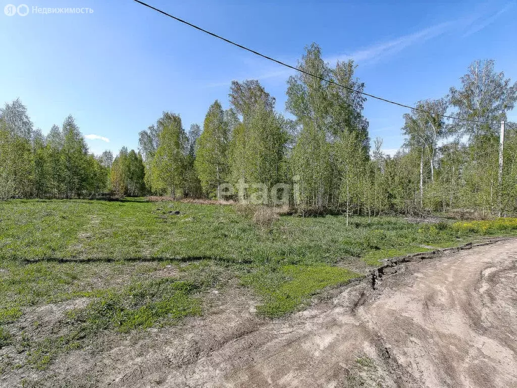 Участок в Новосибирск, улица Ивана Салащенко (8.4 м) - Фото 1