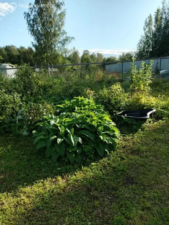 Участок в посёлок Белоостров, Железнодорожная улица (4 м) - Фото 1