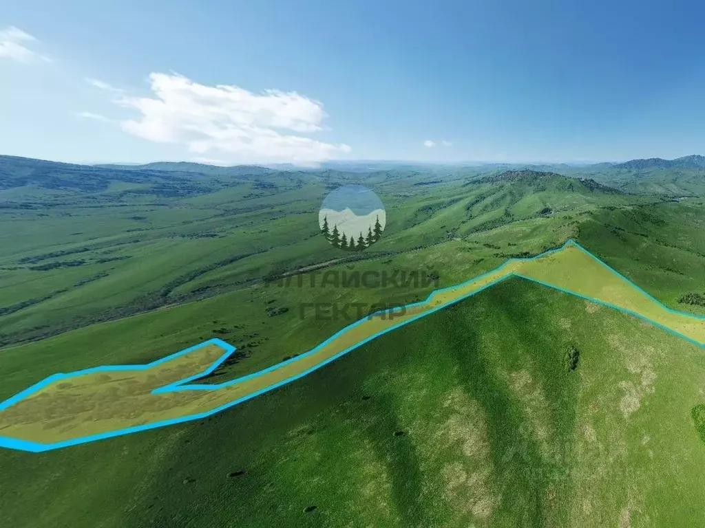 Участок в Алтайский край, Алтайский район, с. Верх-Ая  (3920.0 сот.) - Фото 1