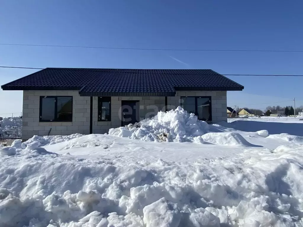 Дом в Пермский край, Чернушка ул. Есенина, 23 (90 м) - Фото 1