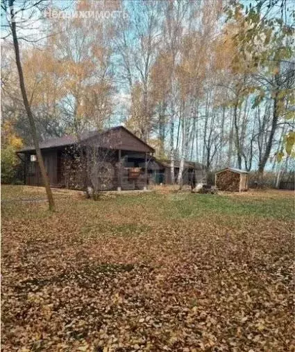 Дом в Липецкая область, Краснинский муниципальный округ, село ... - Фото 1