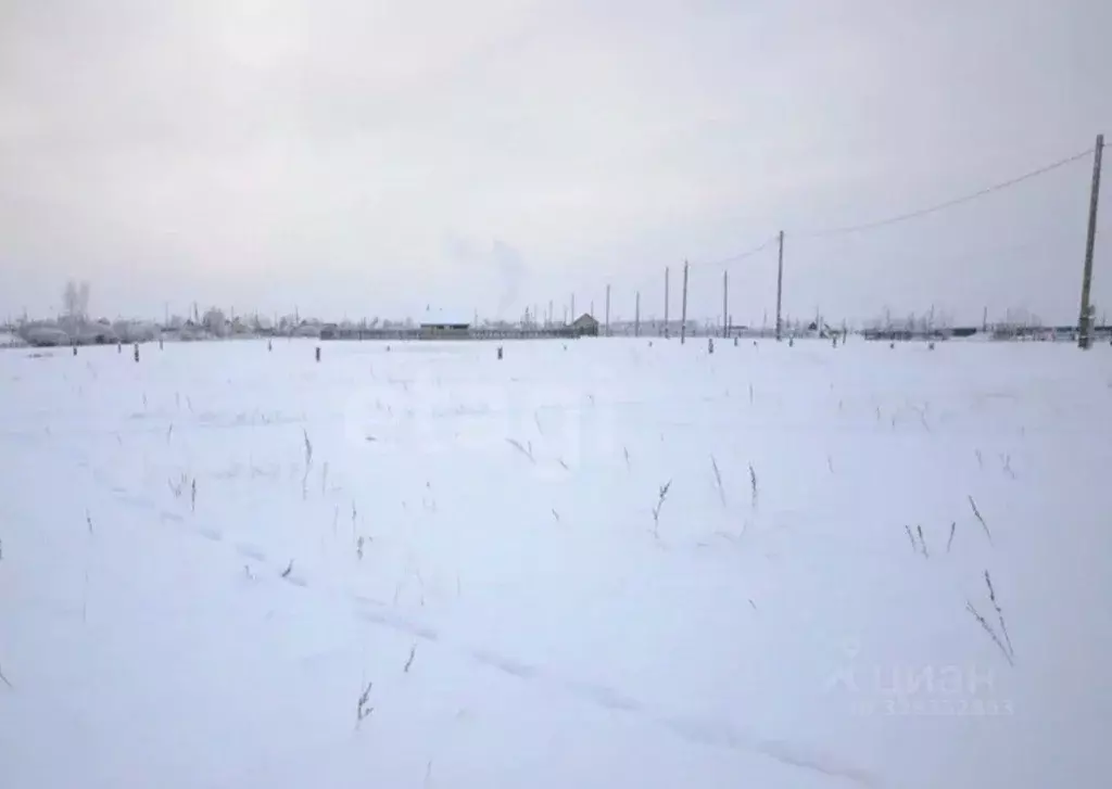 Участок в Саха (Якутия), Жатай городской округ, Жатай рп, Росинка СНТ  ... - Фото 1