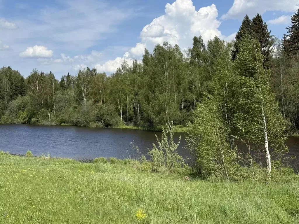 Участок в Московская область, Волоколамский муниципальный округ, Эко ... - Фото 0
