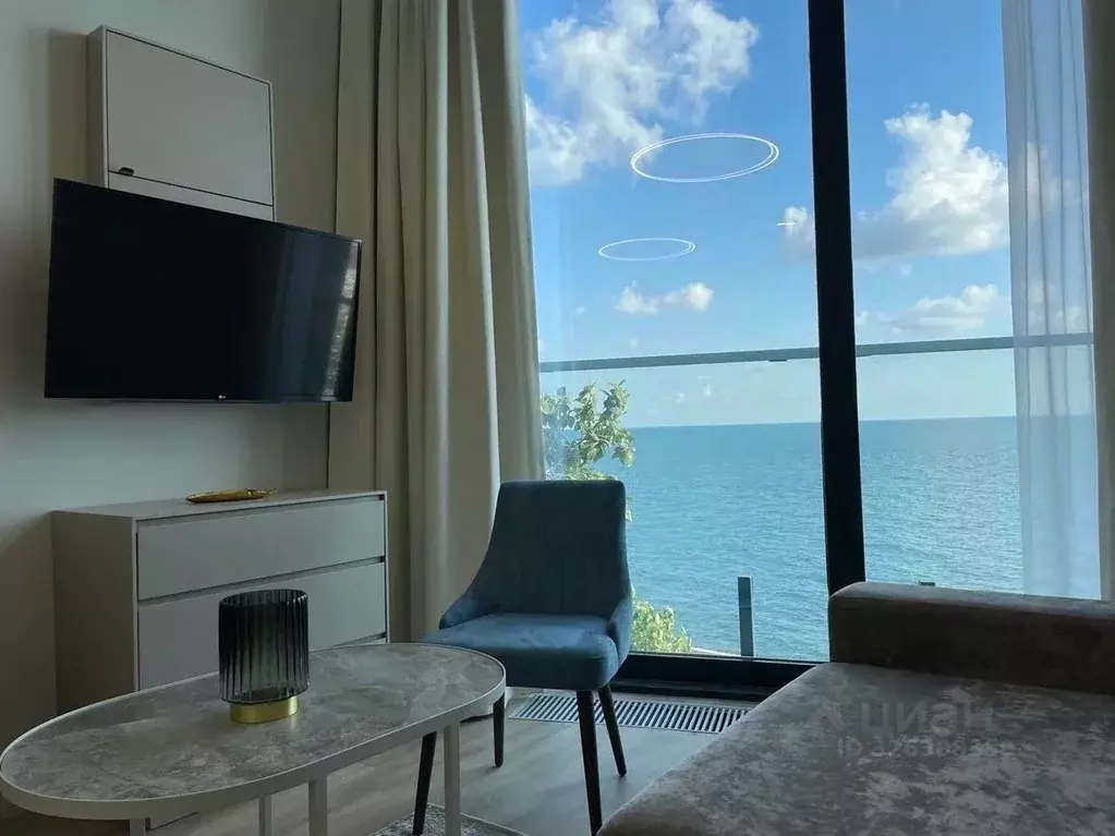 1-к кв. Краснодарский край, Сочи Центральный мкр, ул. Москвина, 6 ... - Фото 2