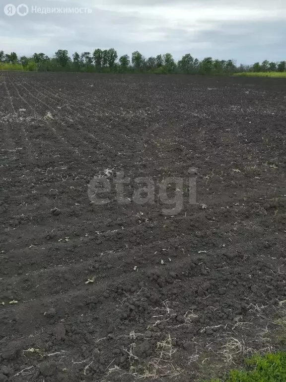 Участок в Хреновое, Молодёжная улица (100 м) - Фото 2