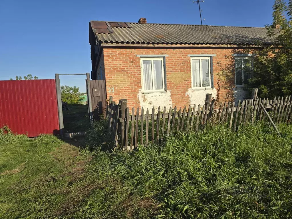 Дом в Омская область, Горьковский район, д. Кирсаново  (45 м) - Фото 1