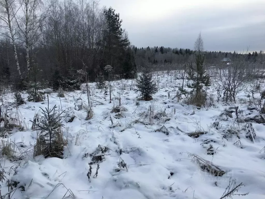 Участок в Московская область, Пушкинский городской округ, д. ... - Фото 1