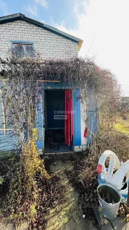 Дом в Волгоградская область, Волгоград Березка СНТ, ул. Медицинская ... - Фото 2