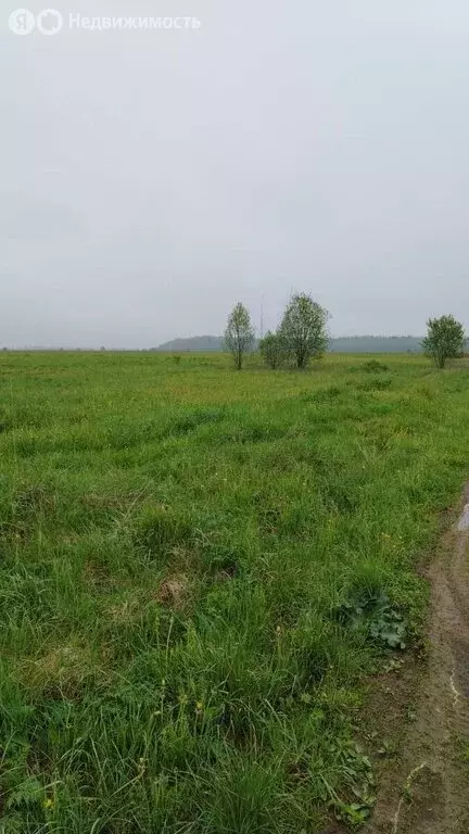 Участок в Ленинградская область, Гатчинский муниципальный округ, ... - Фото 1