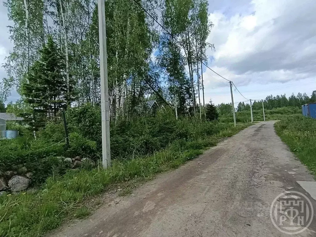 Участок в Ленинградская область, Всеволожск пер. 5-й Поэтический, 4 ... - Фото 2