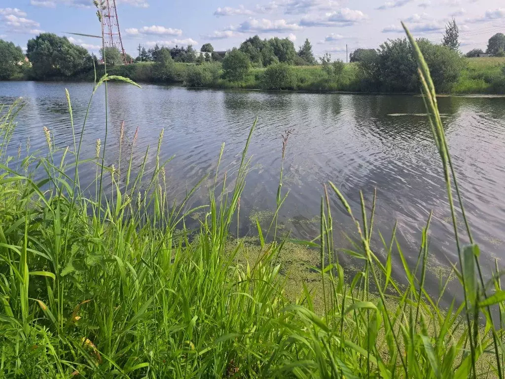 Участок, 6.5 сот., поселения (ижс) - Фото 0