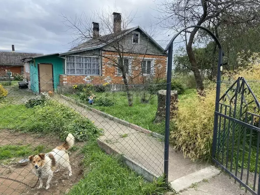 Дом в Псковская область, Псковский район, Ядровская волость, д. ... - Фото 2
