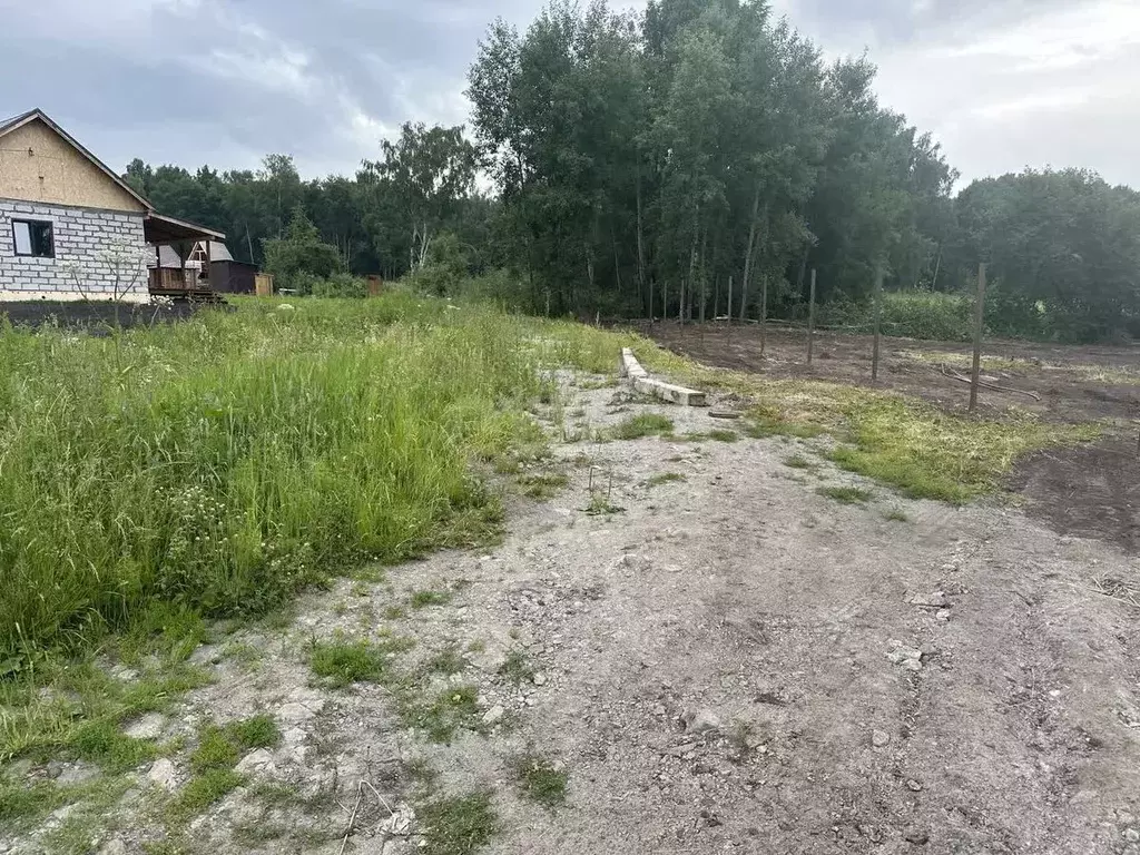 Участок в Кемеровская область, Кемеровский район, Образцово кп  (12.0 ... - Фото 1