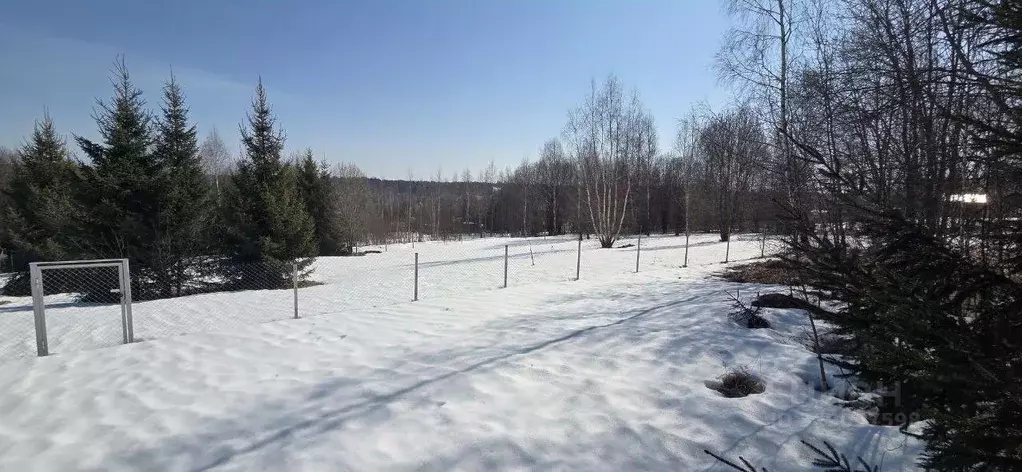 Участок в Московская область, Рузский муниципальный округ, д. ... - Фото 2