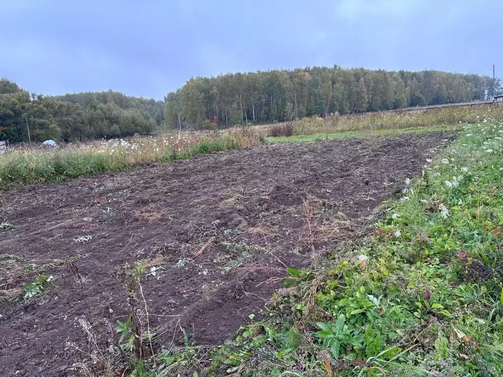 Дом в Орловская область, Мценский район, д. Аниканово ул. ... - Фото 2