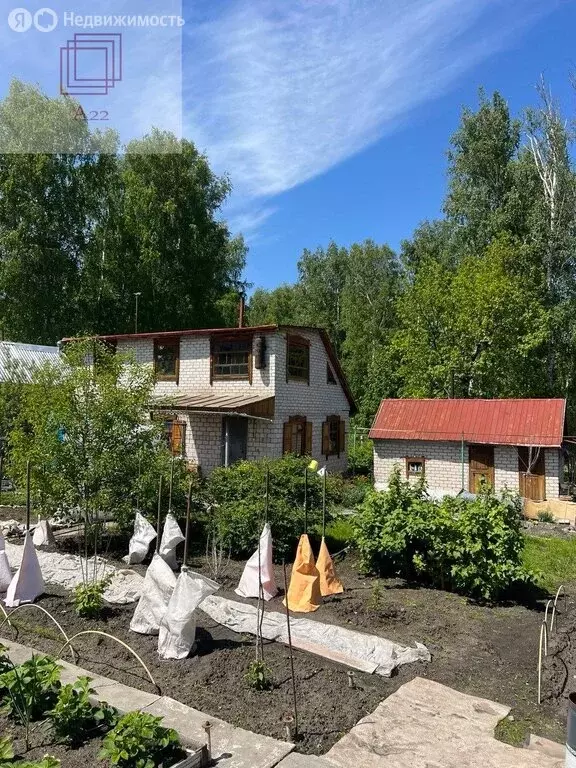 Дом в Павловский район, СНТ Луговое (80 м) - Фото 1