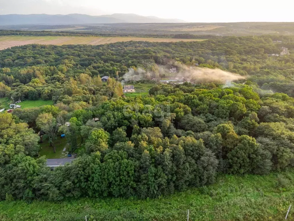 участок в хабаровский край, хабаровский район, с. корсаково-2 (40.0 . - Фото 1