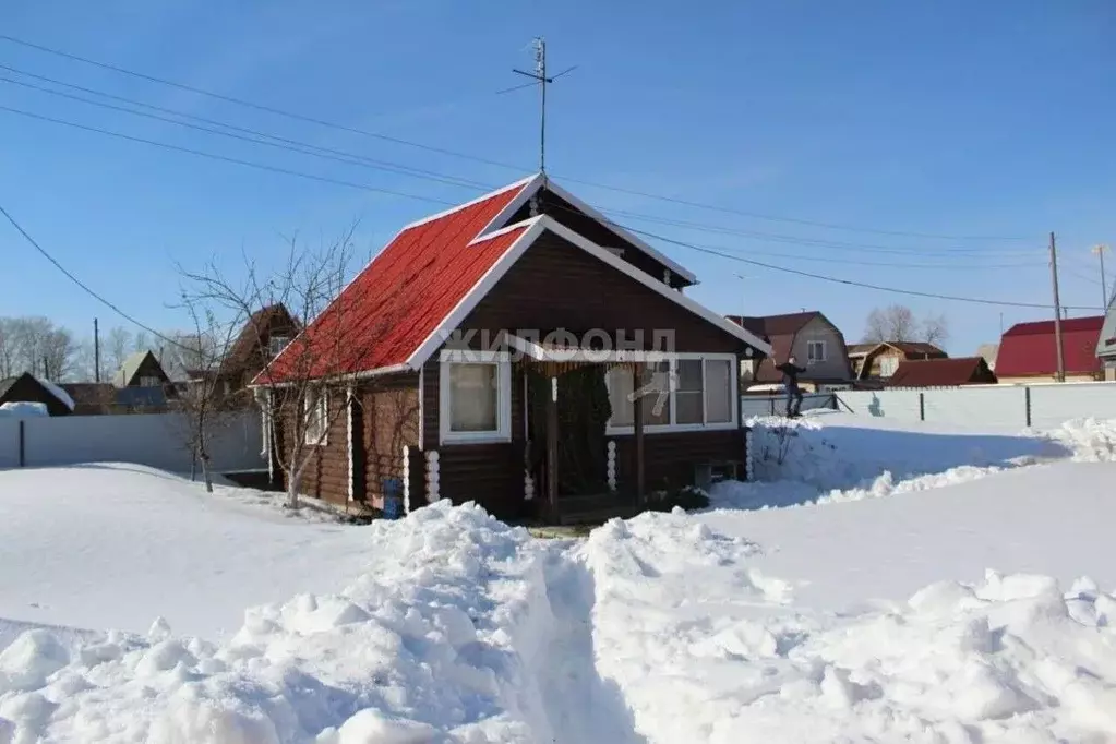 Участок в Новосибирская область, Новосибирский район, с. Толмачево ул. ... - Фото 1