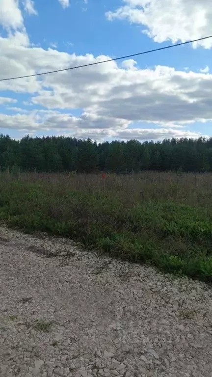 Участок в Кировская область, Киров городской округ, д. Олинцы 6 (10.5 ... - Фото 1