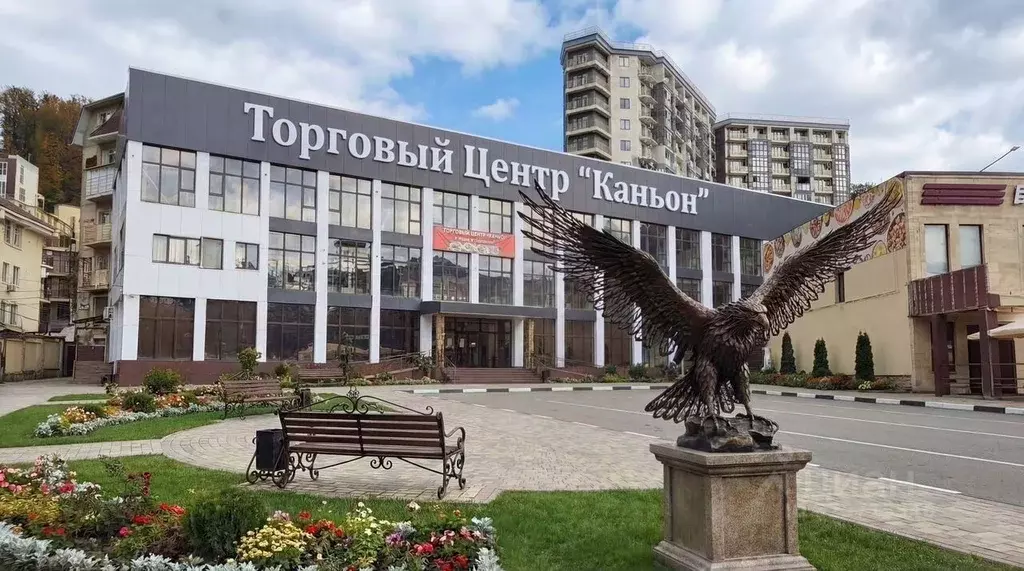 Торговая площадь в Краснодарский край, Сочи городской округ, Дагомыс ... - Фото 1