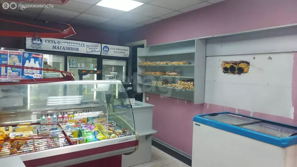 Помещение свободного назначения (27.5 м) - Фото 2