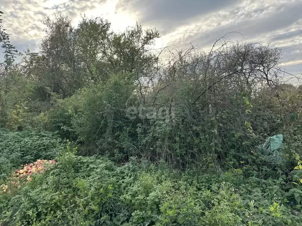 Участок в Калининградская область, Балтийск ул. Средняя (10.0 сот.) - Фото 0