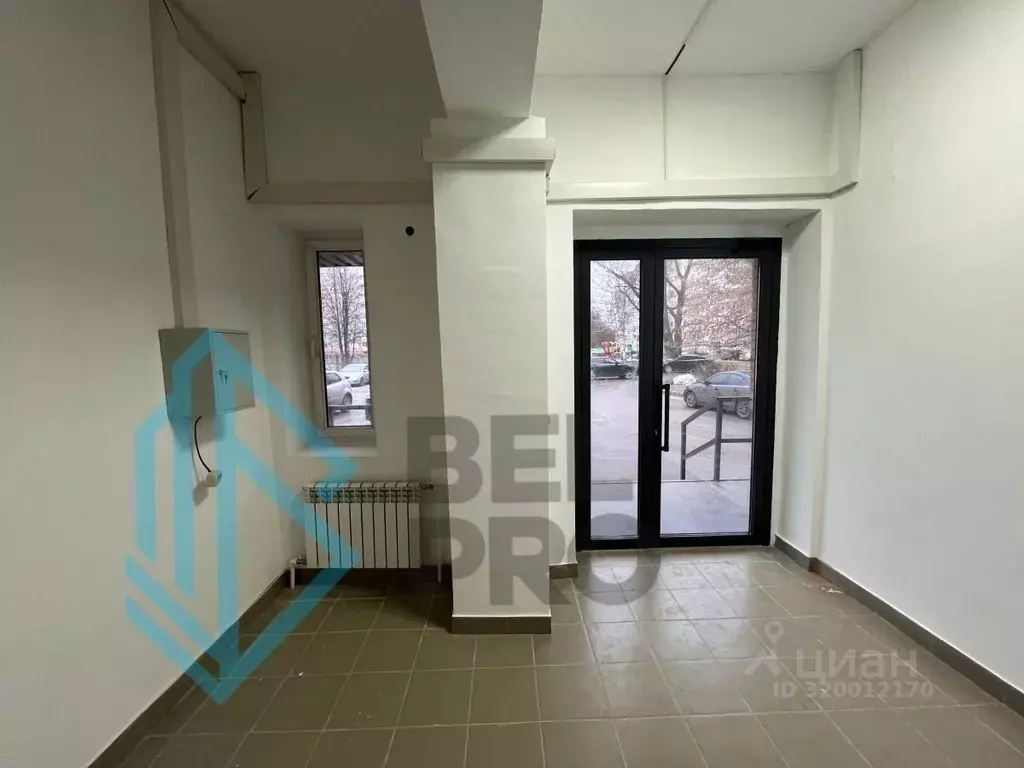 Торговая площадь в Московская область, Воскресенск Новлянский мкр, ул. ... - Фото 1