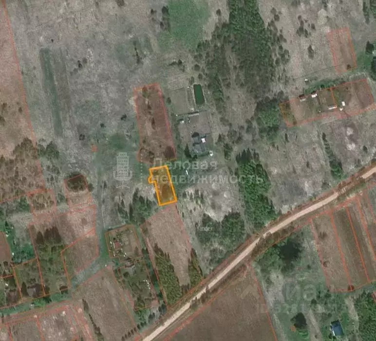 Участок в Новгородская область, Шимское городское поселение, д. ... - Фото 2