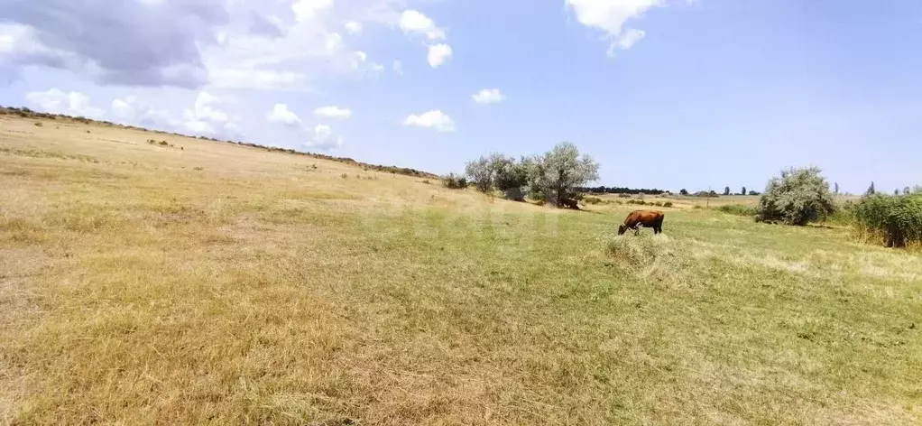 Участок в Крым, Кировский район, Первомайское с/пос, с. Ключевое ул. ... - Фото 1