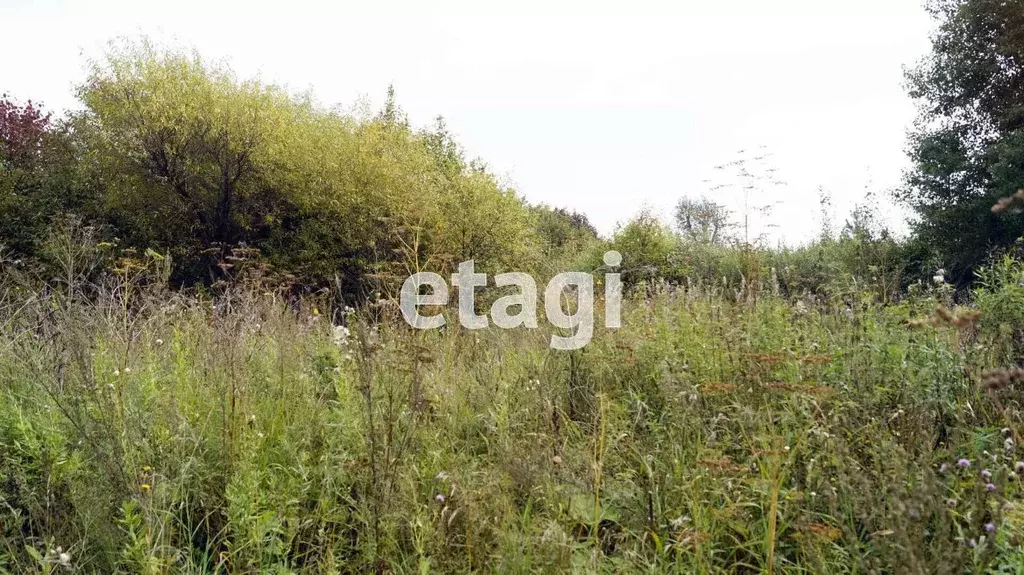 Участок в Свердловская область, Тугулымский муниципальный округ, с. ... - Фото 1