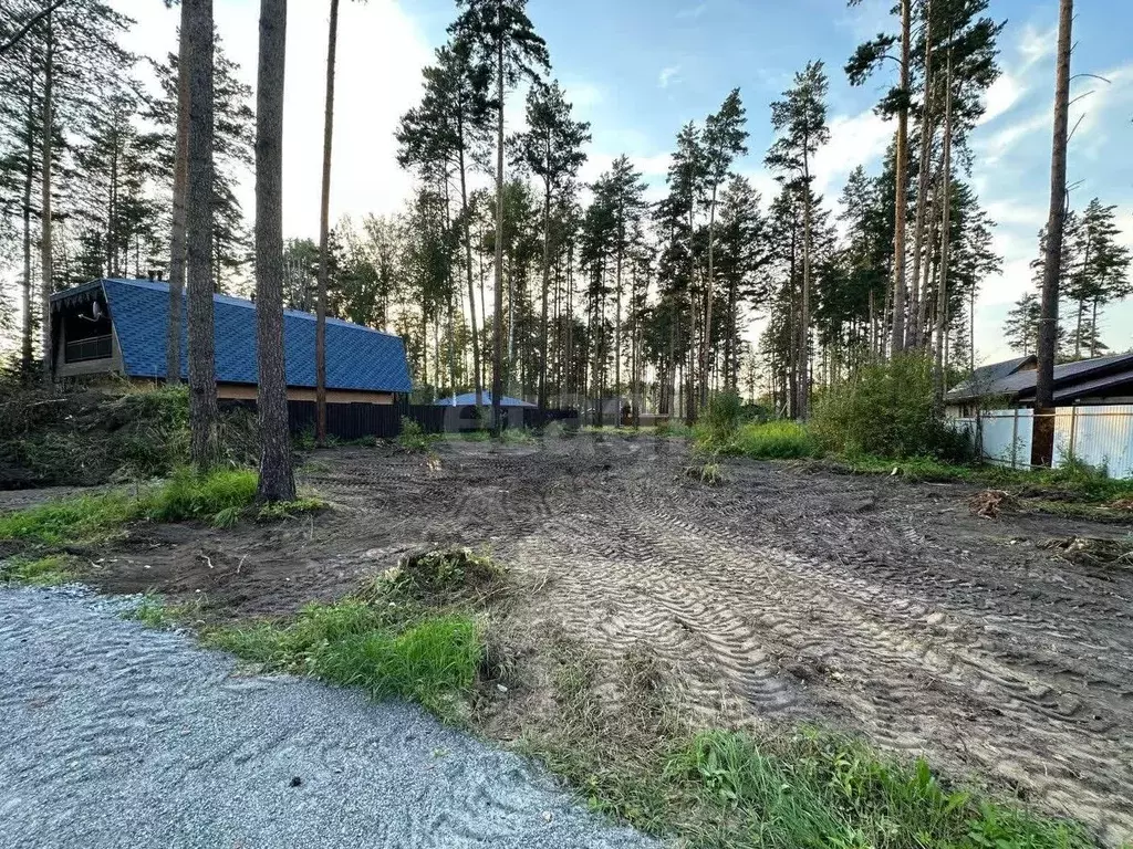 Участок в Новосибирская область, Новосибирский район, Кубовинский ... - Фото 0