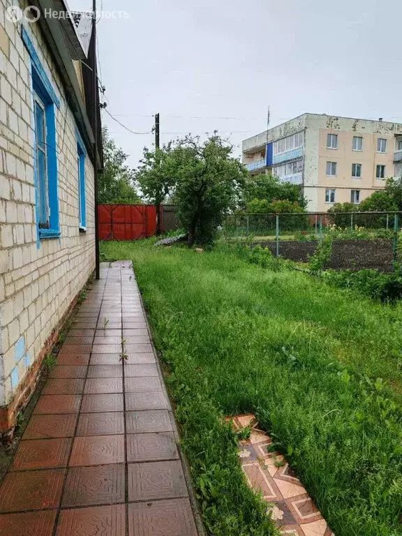 Дом в деревня Брагино, Новая улица, 8 (84 м) - Фото 1