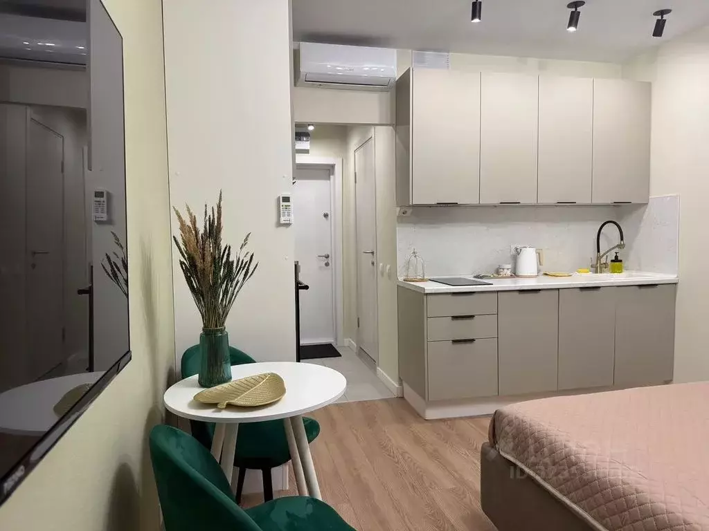 Студия Московская область, Одинцово ул. Каштановая, 14к1 (20.0 м) - Фото 2