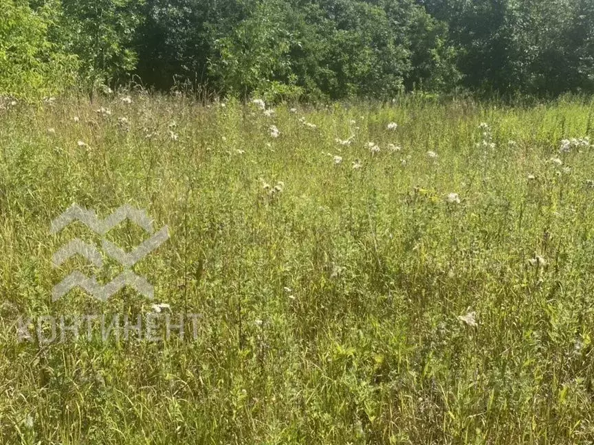 Участок в Крым, Бахчисарайский район, Песчановское с/пос, с. Береговое ... - Фото 1