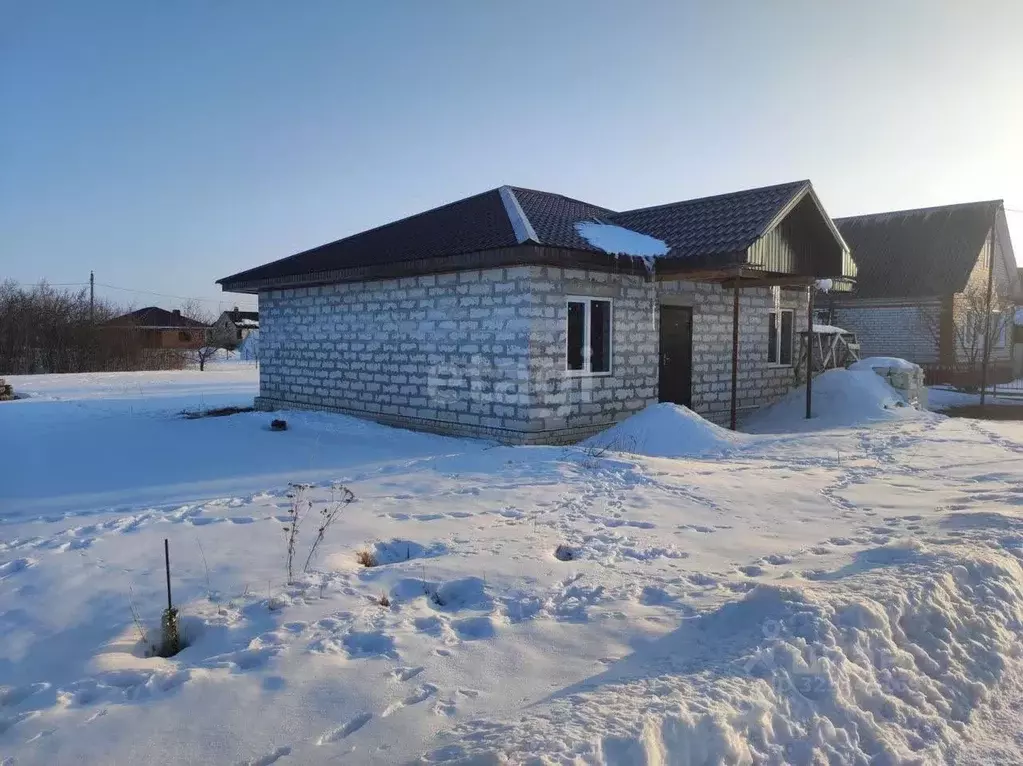 Дом в Воронежская область, Верхнехавский район, с. Углянец ул. ... - Фото 1