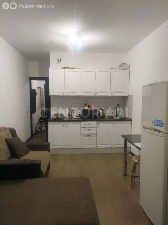 Квартира-студия: Санкт-Петербург, улица Лётчика Лихолетова, 14к4 (24.7 ... - Фото 1