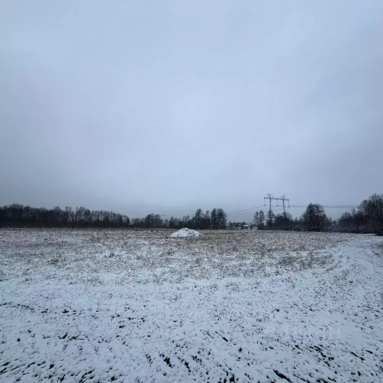 Участок в Тверская область, Конаковский муниципальный округ, д. Ручьи  ... - Фото 1