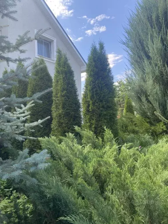 Дом в Пензенская область, Мокшан рп ул. Строителей, 21 (254 м) - Фото 1