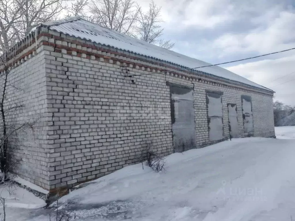 Торговая площадь в Белгородская область, Вейделевский район, ... - Фото 1