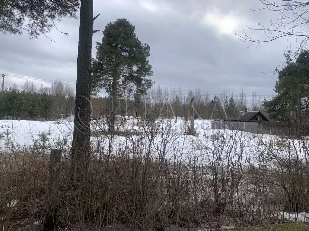 Участок в Ленинградская область, Лодейное поле тракт Республиканский, ... - Фото 1