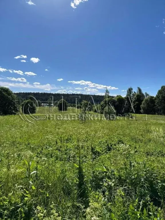Участок в Ленинградская область, Выборгский район, Каменногорское ... - Фото 2