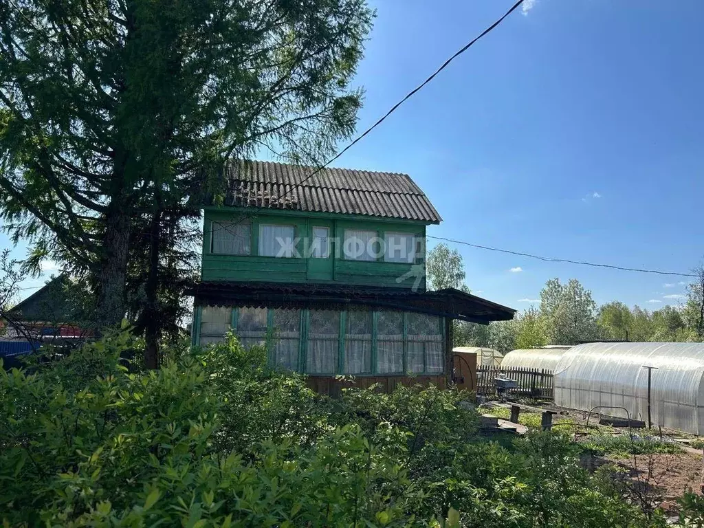 Дом в Алтайский край, Барнаул  (30 м) - Фото 1