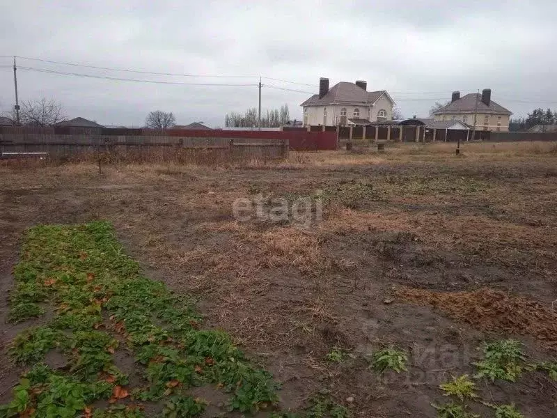 Участок в Воронежская область, Рамонский район, с. Ямное ул. Кирова ... - Фото 0