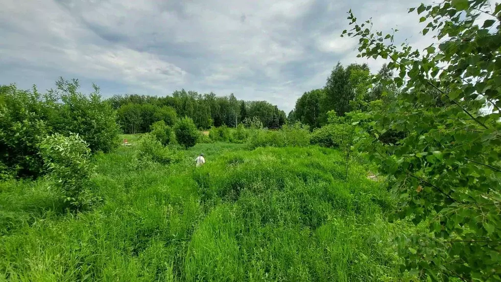 Участок в Татарстан, Лаишевский район, Никольское с/пос, с. Тарлаши ... - Фото 1