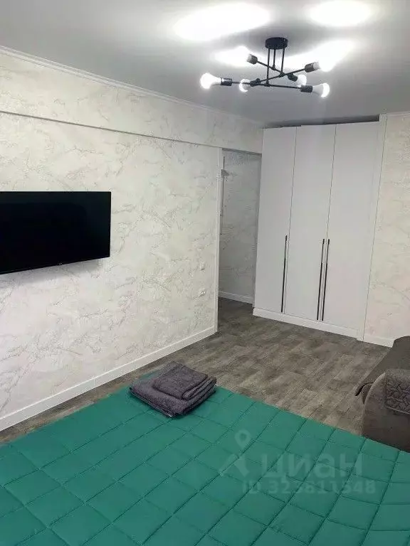 1-к кв. Алтайский край, Рубцовск Алейский пер., 41 (31.0 м) - Фото 2