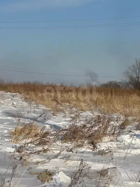 Участок в Амурская область, Благовещенск Связь СТ,  (6.6 сот.) - Фото 1