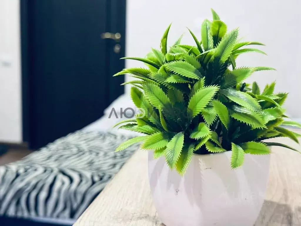 1-к кв. Саратовская область, Саратов Тверская ул., 53 (16.0 м) - Фото 1