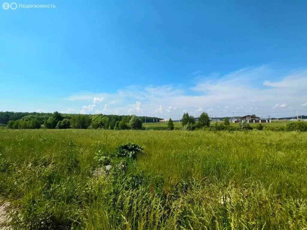 Участок в деревня Шишкино, КП Дачная практика-2, 166 (6.58 м) - Фото 2