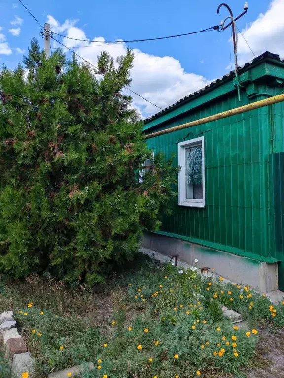 Дом в Воронежская область, Россошь ул. Володарского, 172 (48 м) - Фото 1