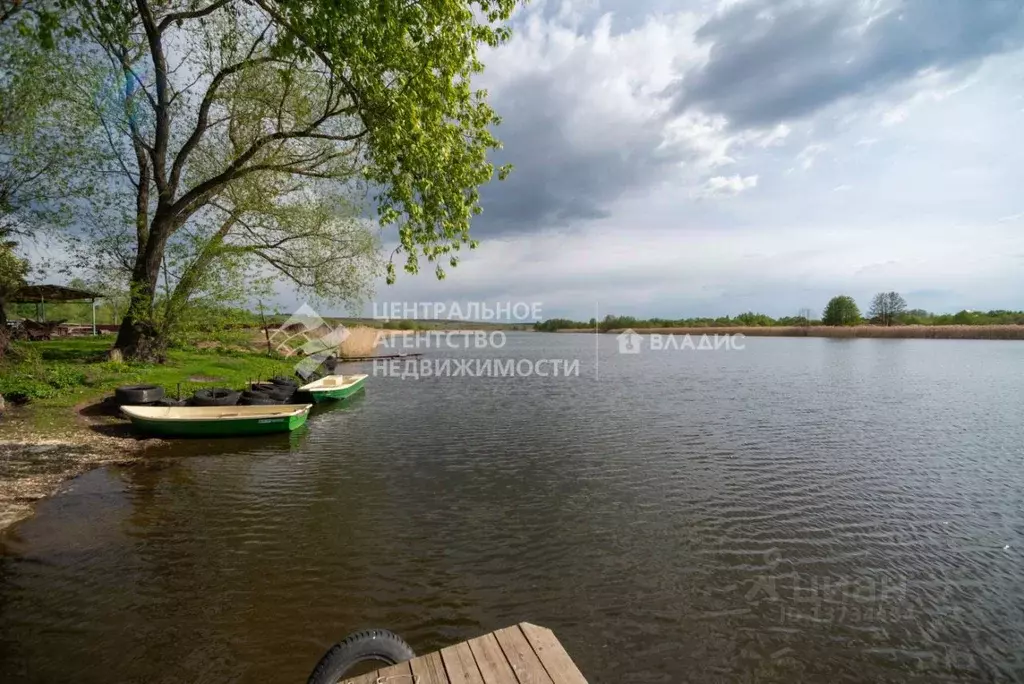 Купить Дом В Пронском Районе Рязанской Области